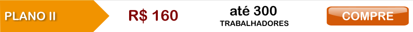 Plano II - até 300 trabalhadores